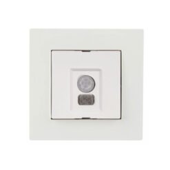 Ανιχνευτής Κίνησης Χωνευτός