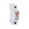 MINIATURE CIRCUIT BREAKER C61R 25A 1P 6kA CURVE C 2