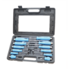 12PCS SCREWDRIVER SET CRV 1