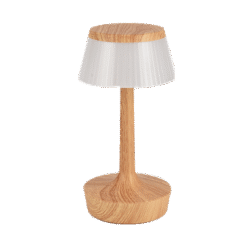 RYAN ΕΠΙΤΡΑΠΕΖΙΟ ΦΩΤΙΣΤΙΚΟ 2W 3000K ΛΕΥΚΟ/ΞΥΛΟ