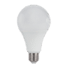 ΛΑΜΠΤΗΡΑΣ LED ΑΧΛΑΔΙ BULB A60 13W E27 12-48V 2700K 1
