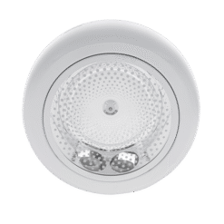 GL213 WHITE - model 2